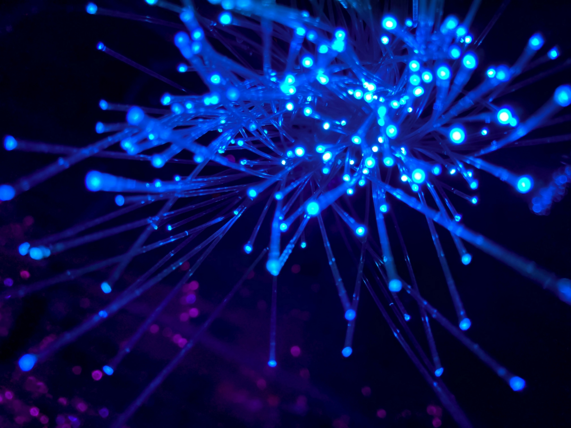 jj ying 8bghKxNU1j0 unsplash