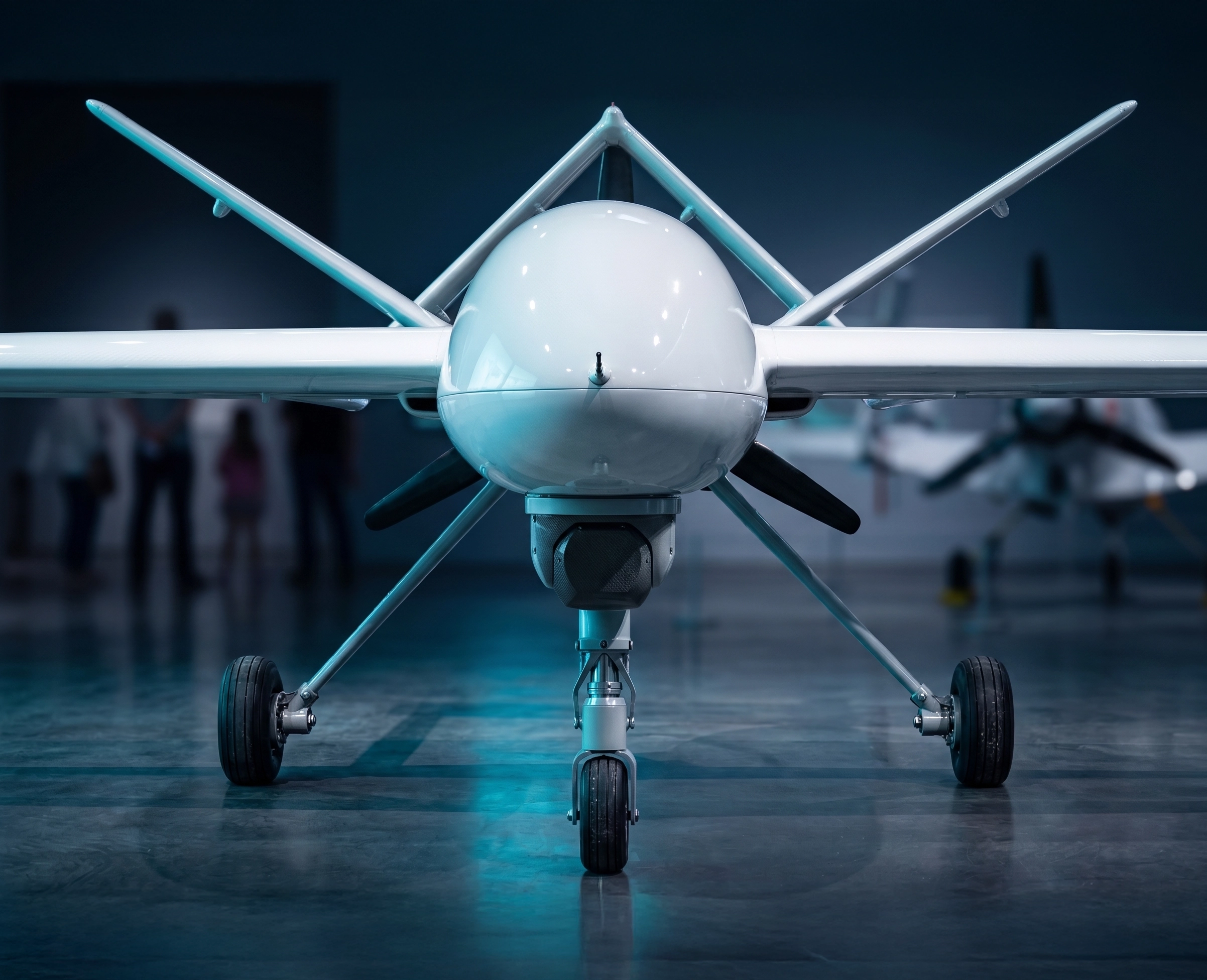 Unmanned Aerial Systems 2